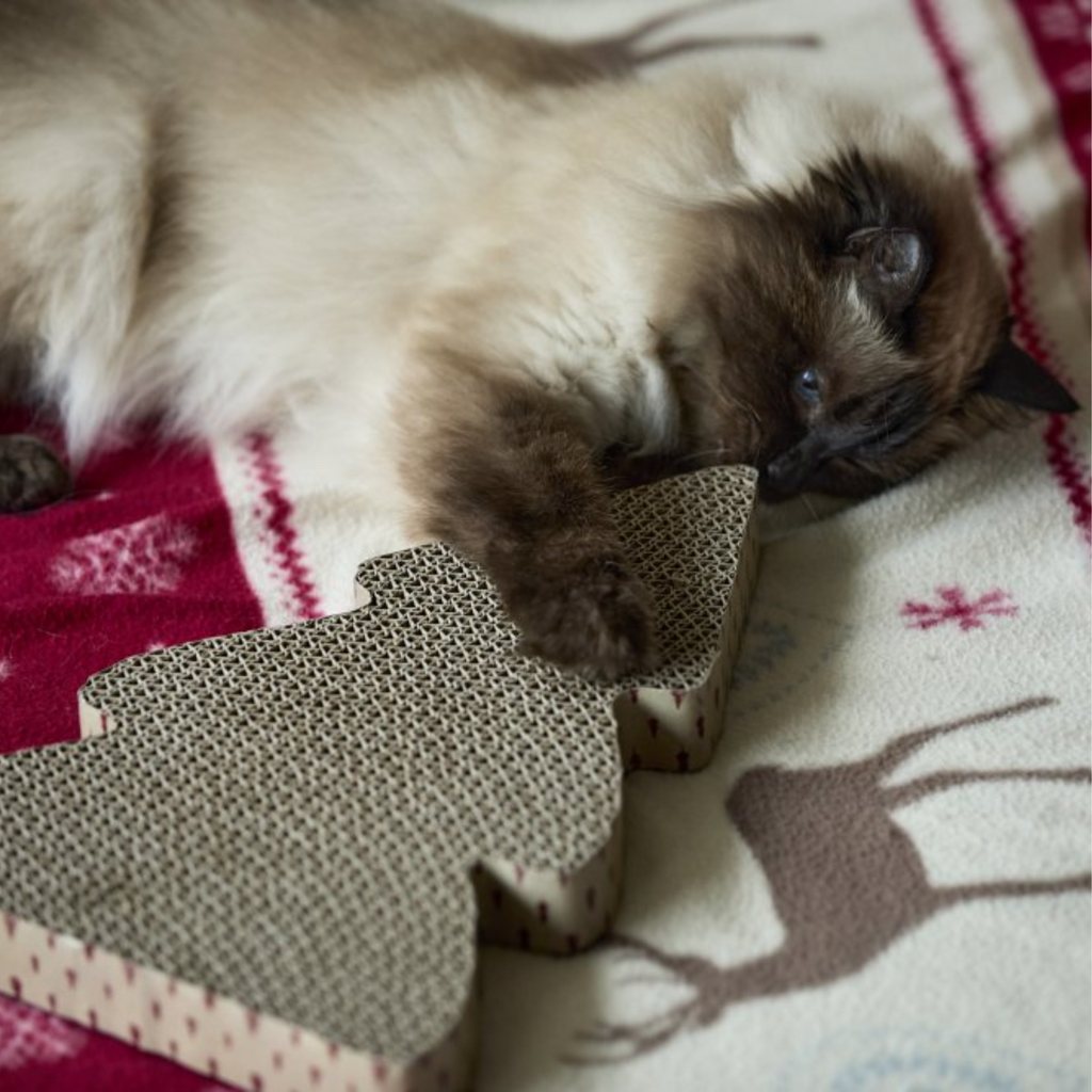 Petface Tree Cardboard Cat Scratcher