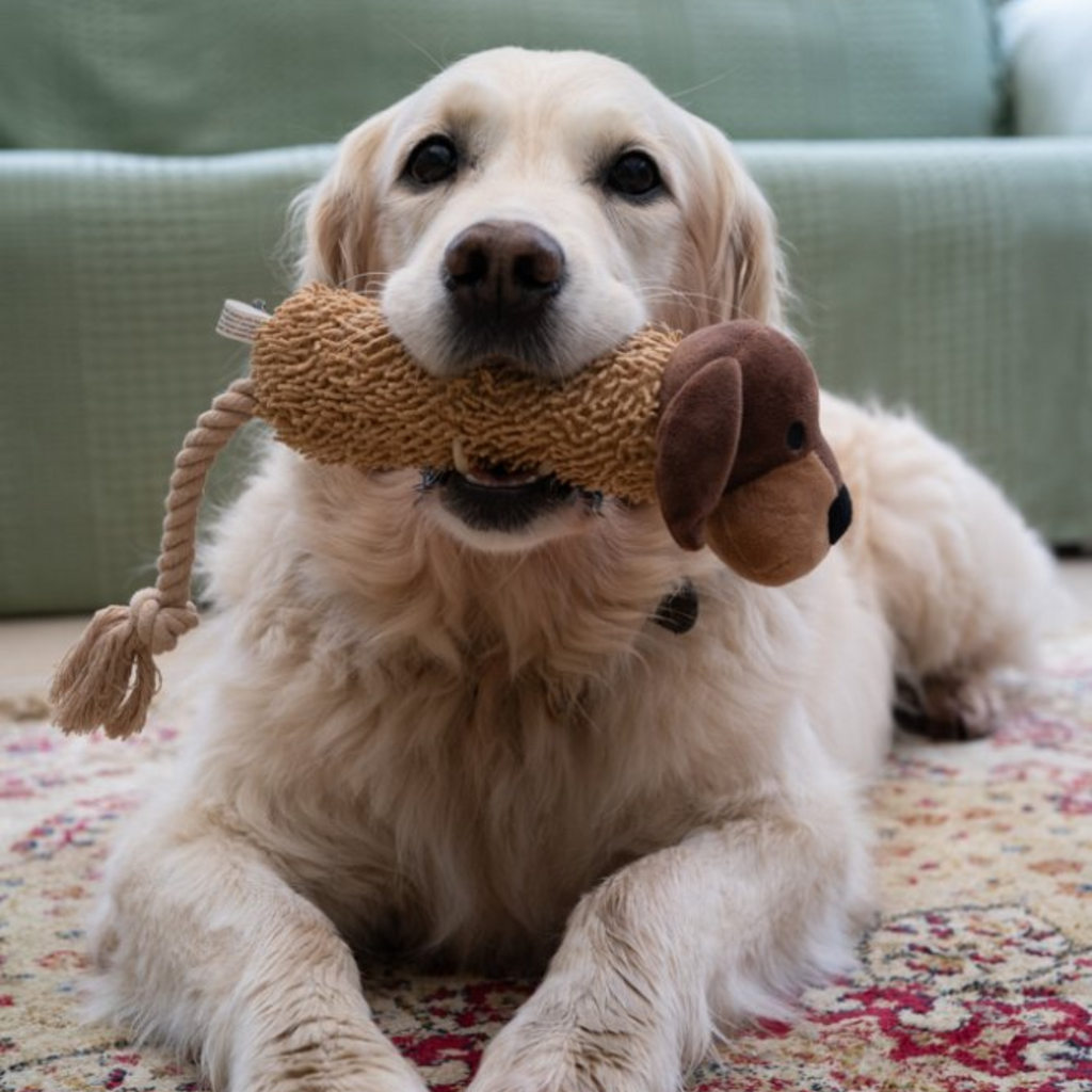 Petface Buddies Shaggy Plush Dog Toy