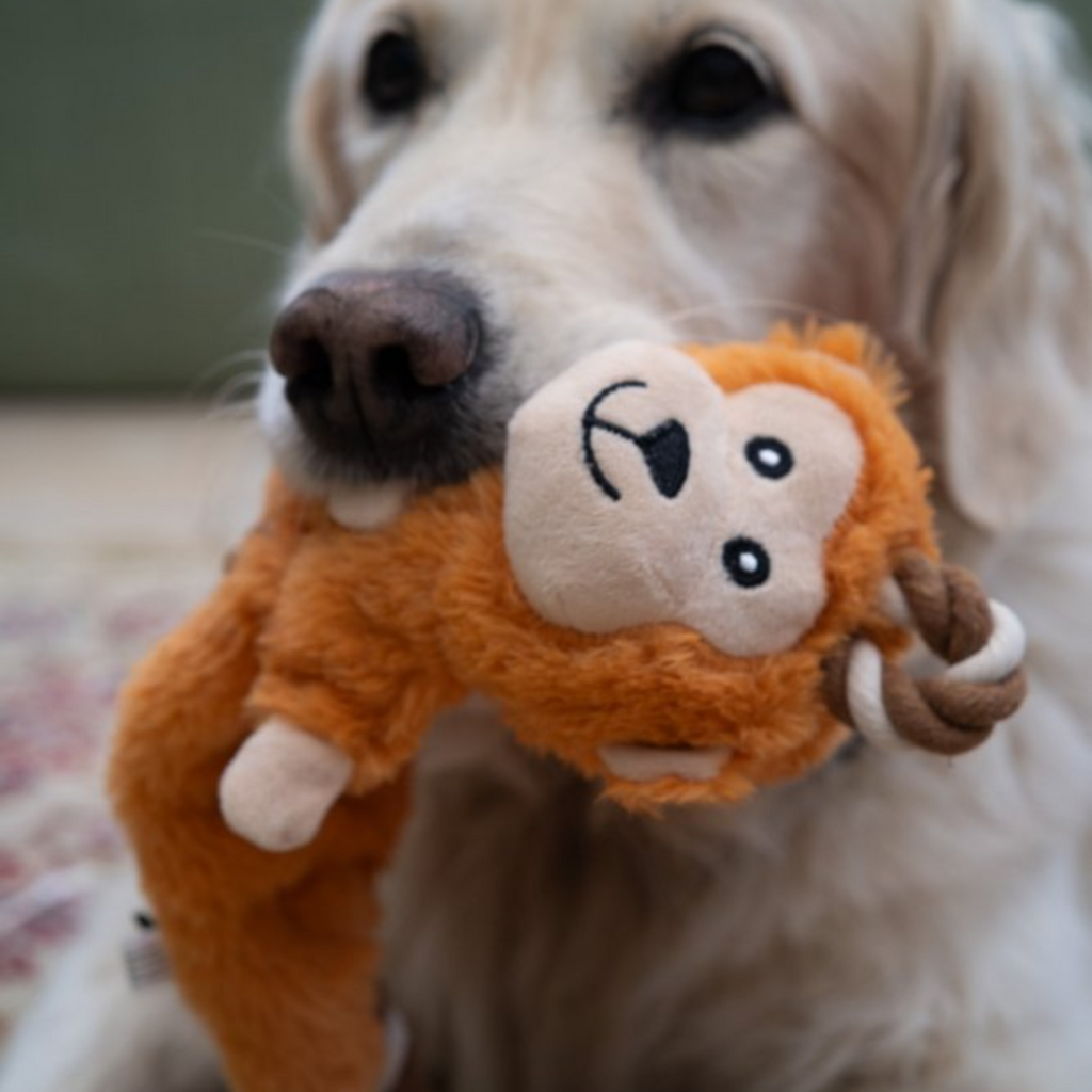 Petface Buddies Rope Monkey Plush Dog Toy