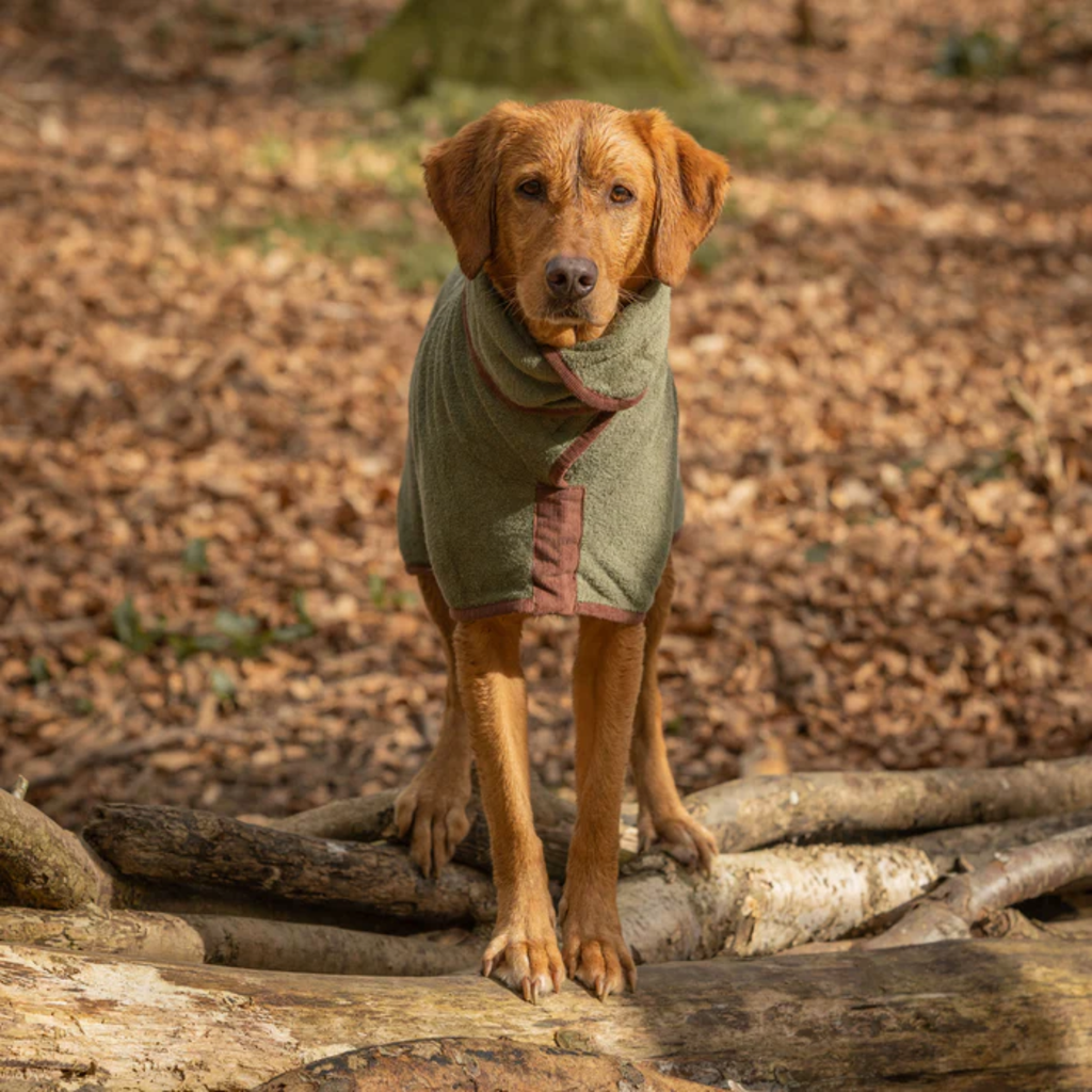 Ruff and Tumble Country Dog Drying Coat - Moss