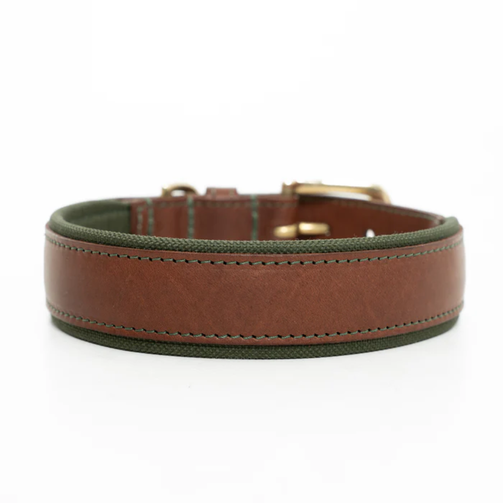 Ruff and Tumble Morston Leather Dog Collar - Olive