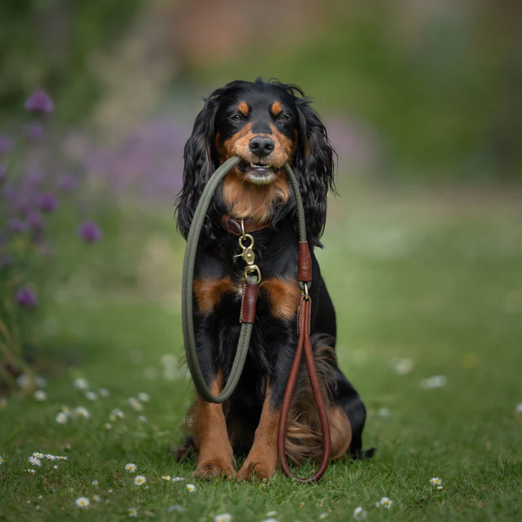 Ruff and Tumble Morston Rolled Clip Lead - Olive