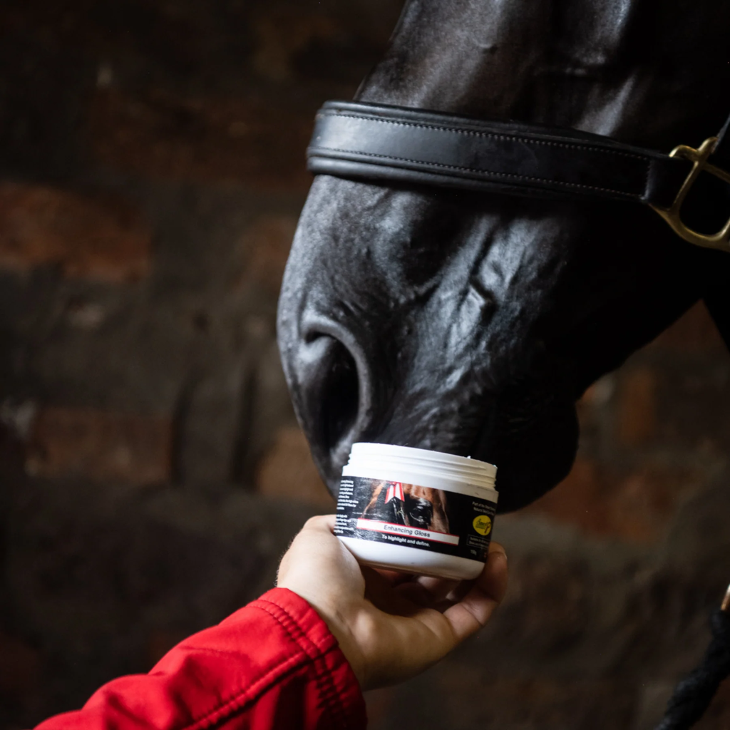 Smart Grooming Enhancing Gloss