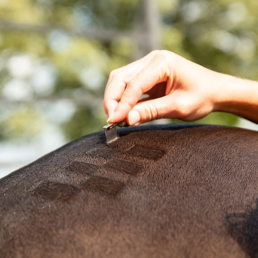 Smart Grooming Standard Quarter Marking Comb