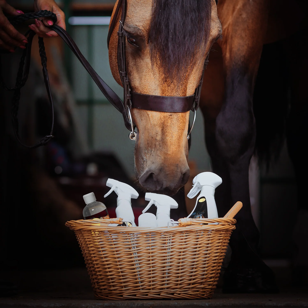 Smart Grooming Wicker Show Basket