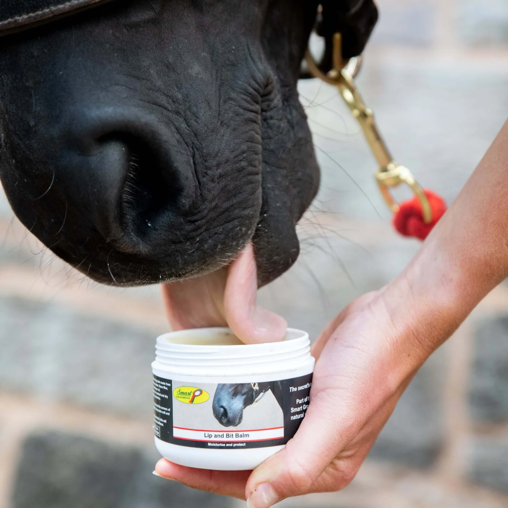 Smart Grooming Lip and Bit Balm - 120g