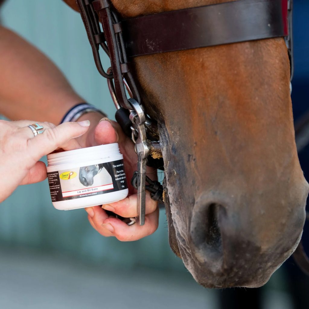 Smart Grooming Lip and Bit Balm - 120g