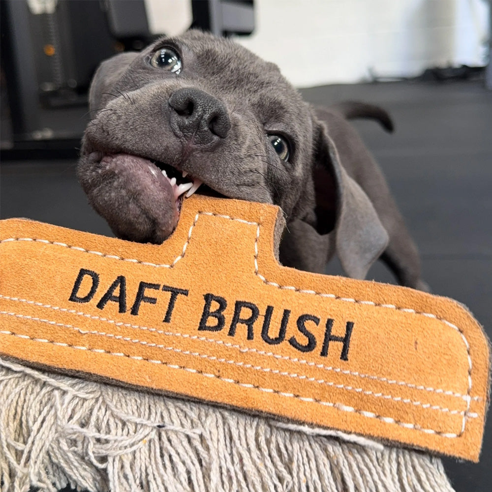 Green and Wilds Daft Brush Eco Dog Toy
