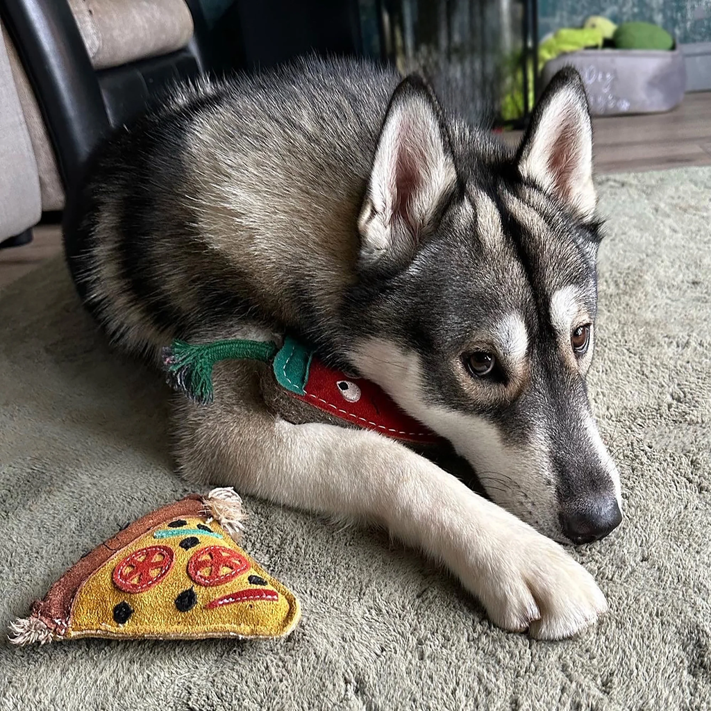 Green and Wilds Pepe Le Pizza Eco Dog Toy