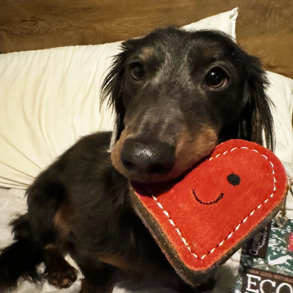 Green and Wilds Trudy Truelove Eco Dog Toy