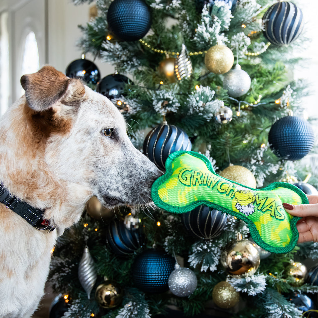 Rosewood Grinch Bone Toy