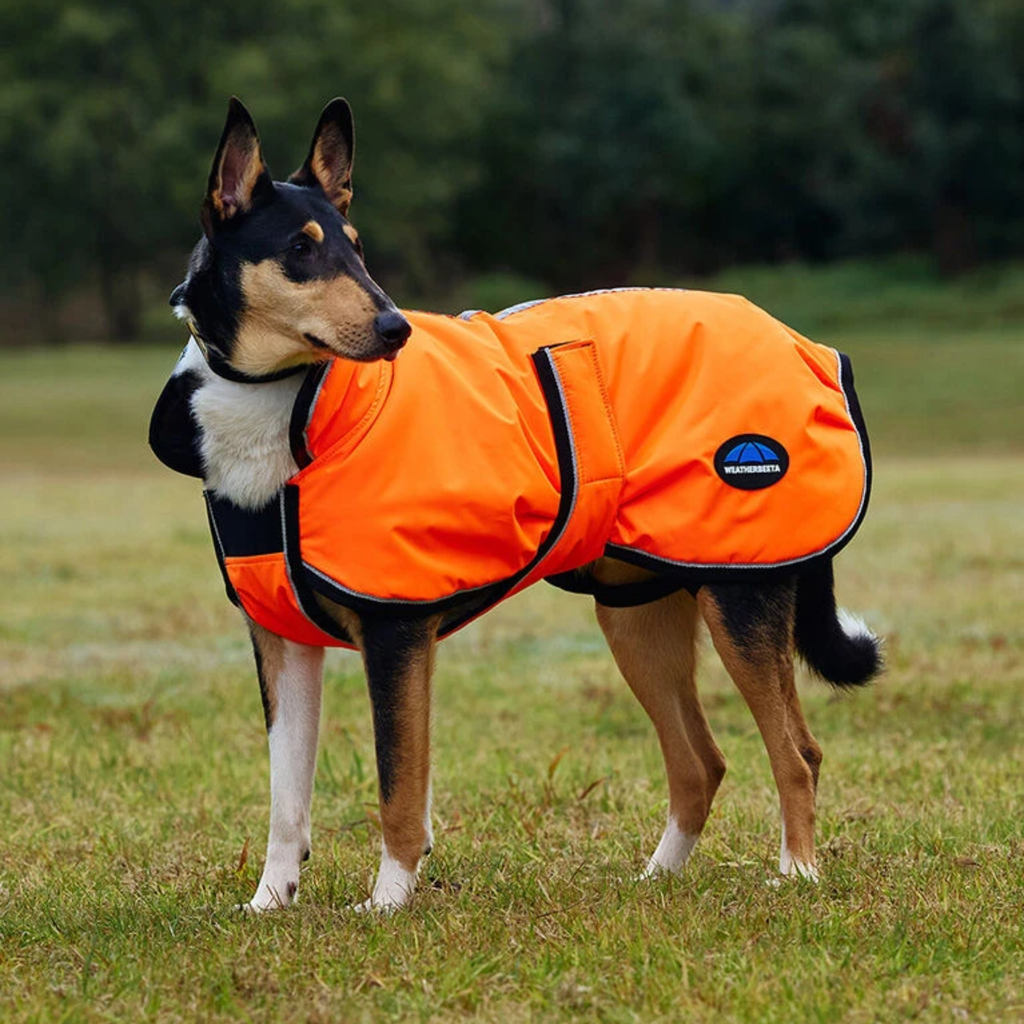 WeatherBeeta ComFiTec Reflective 300D Deluxe Showerproof Dog Coat - Orange