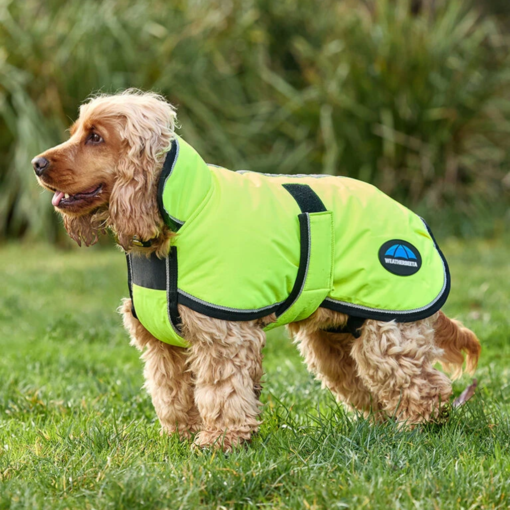 WeatherBeeta ComFiTec Reflective 300D Deluxe Showerproof Dog Coat - Yellow