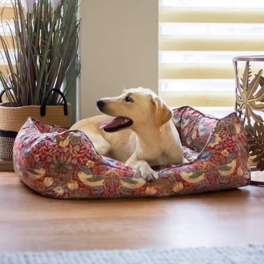 William Morris Strawberry Thief Print Square Bed - Burgundy