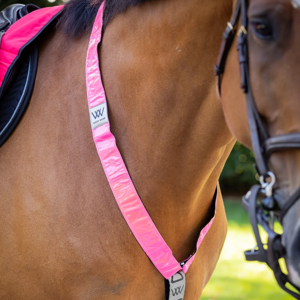 Woof Wear Hi Vis Neck Band - Pink