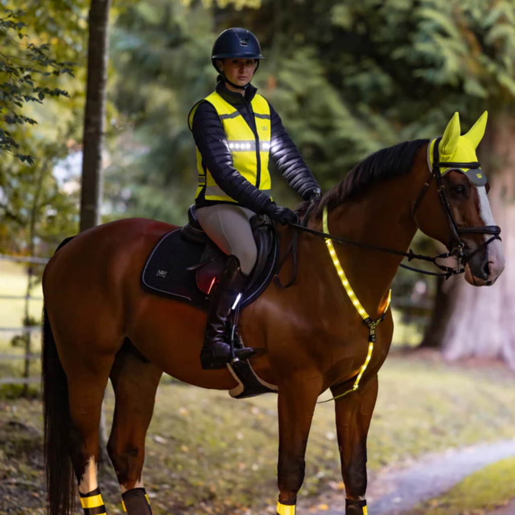 Woof Wear 3-in-1 Rider Safety Lights