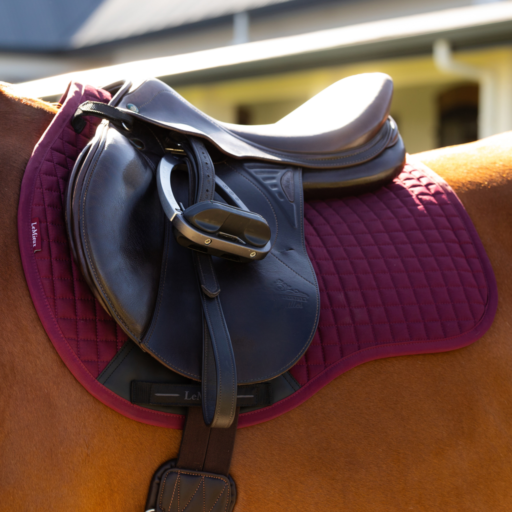 LeMieux Cotton GP Square - Burgundy