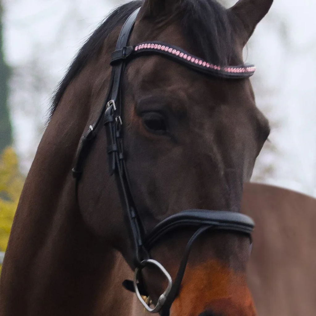 Mackey Baby Pink Sparkle Browband - Black