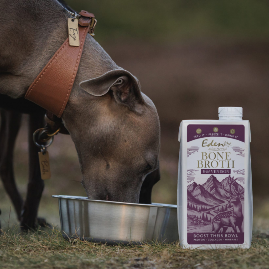 Eden Wild Venison Bone Broth - 500ml