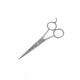 Smart Grooming 5 Inch Pointed Scissors