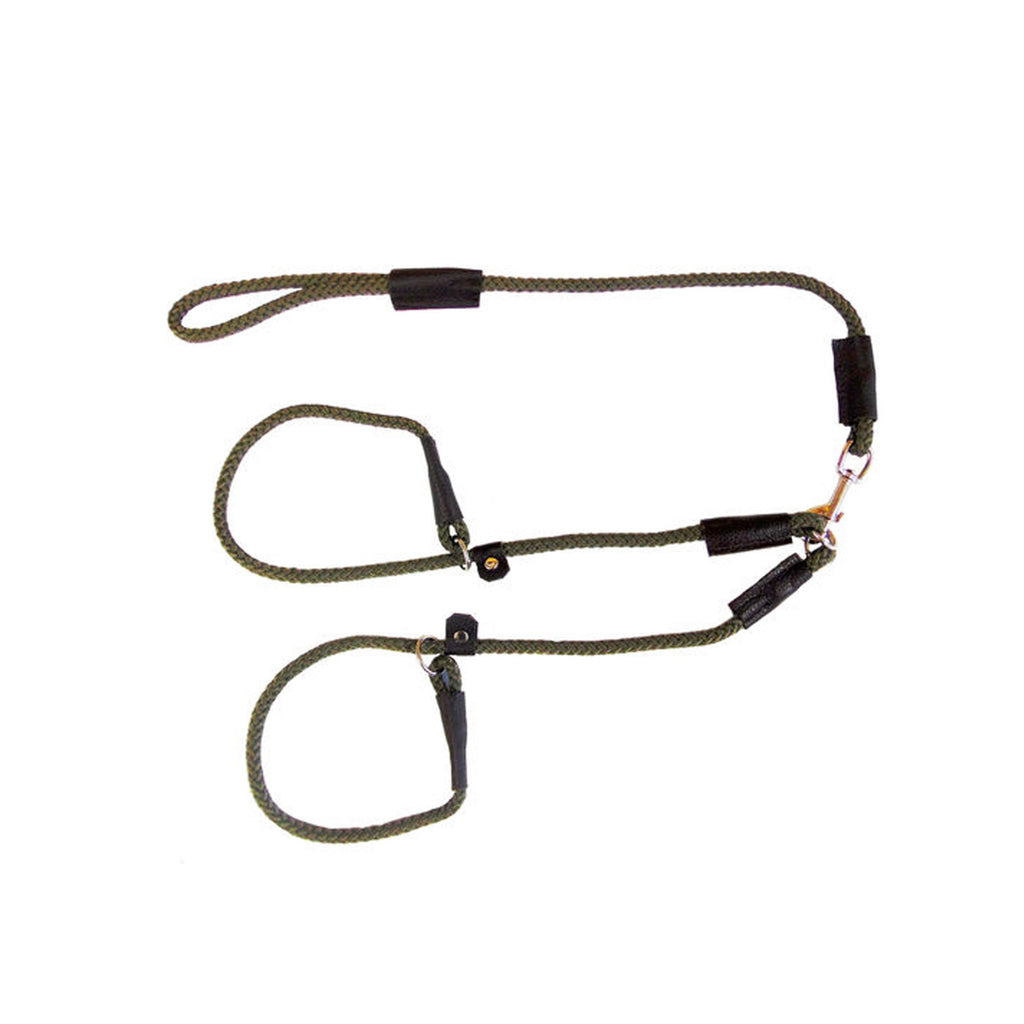 Sporting Saint Country Classic Brace Lead