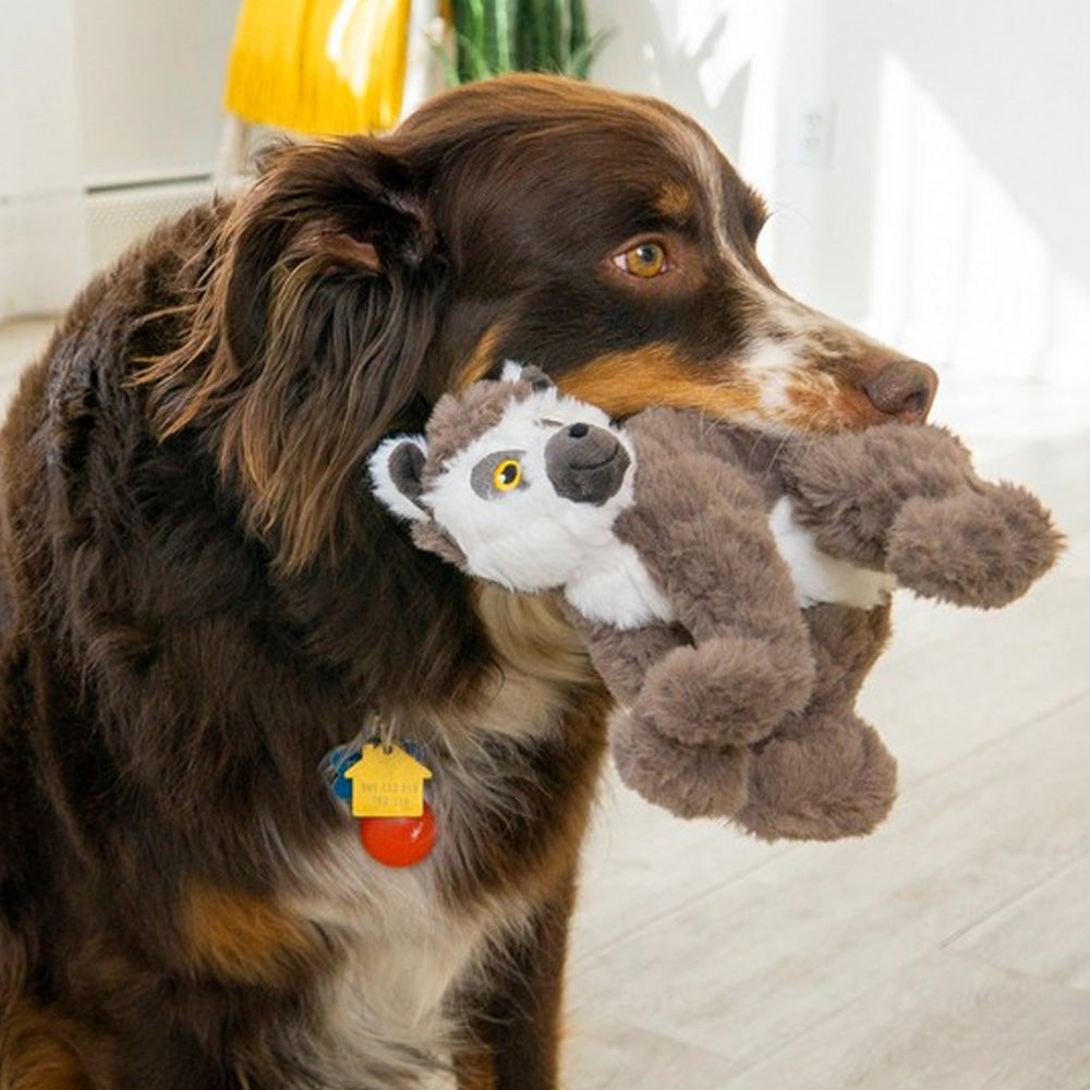 KONG Scampers Lemur - Medium dog toy