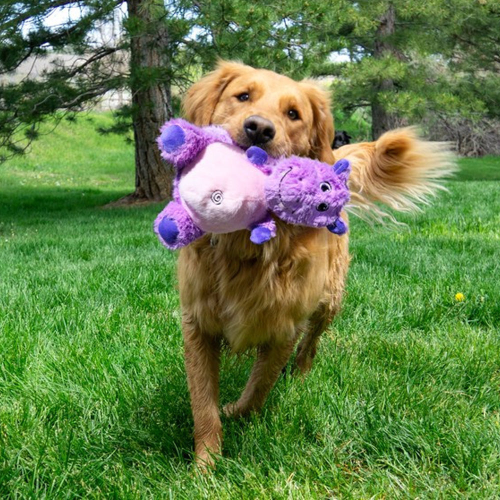 KONG Knots Belly Hippo - Medium/ Large