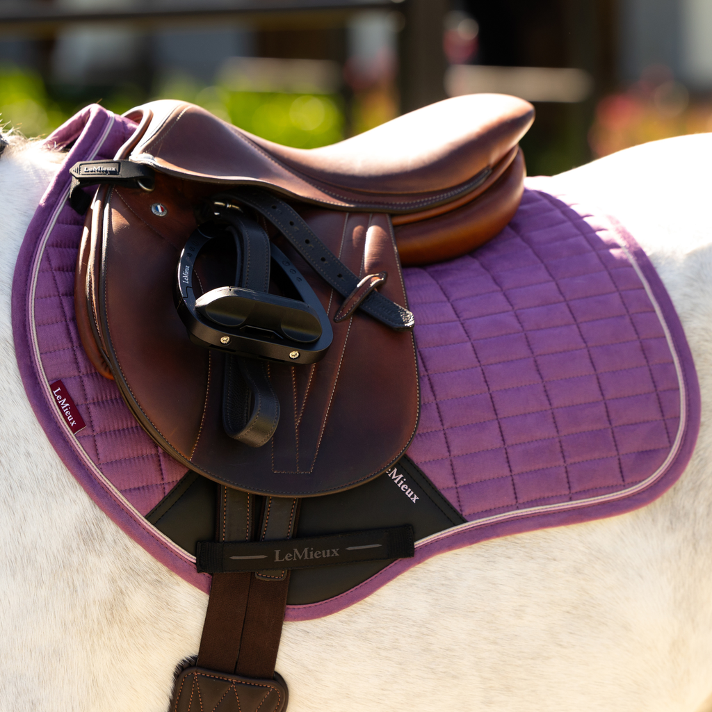 LeMieux Mini Suede Close Contact Square - Mallow