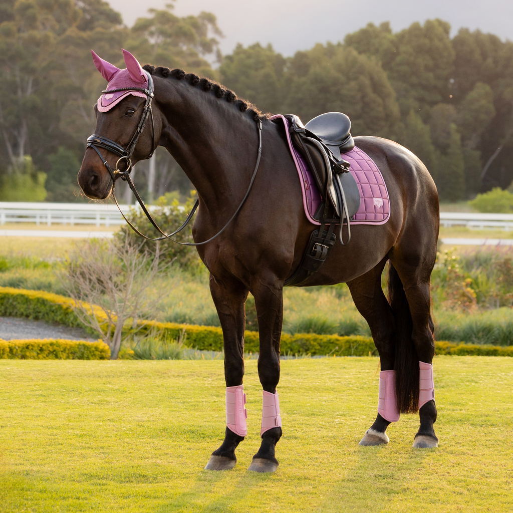 LeMieux Loire Classic Dressage Square - Mallow