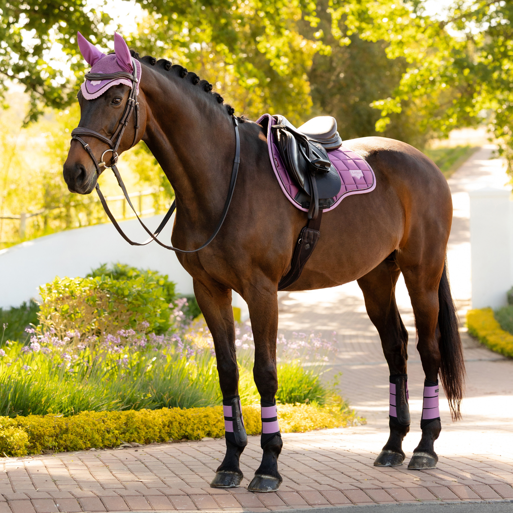 LeMieux Loire Classic GP Square - Mallow