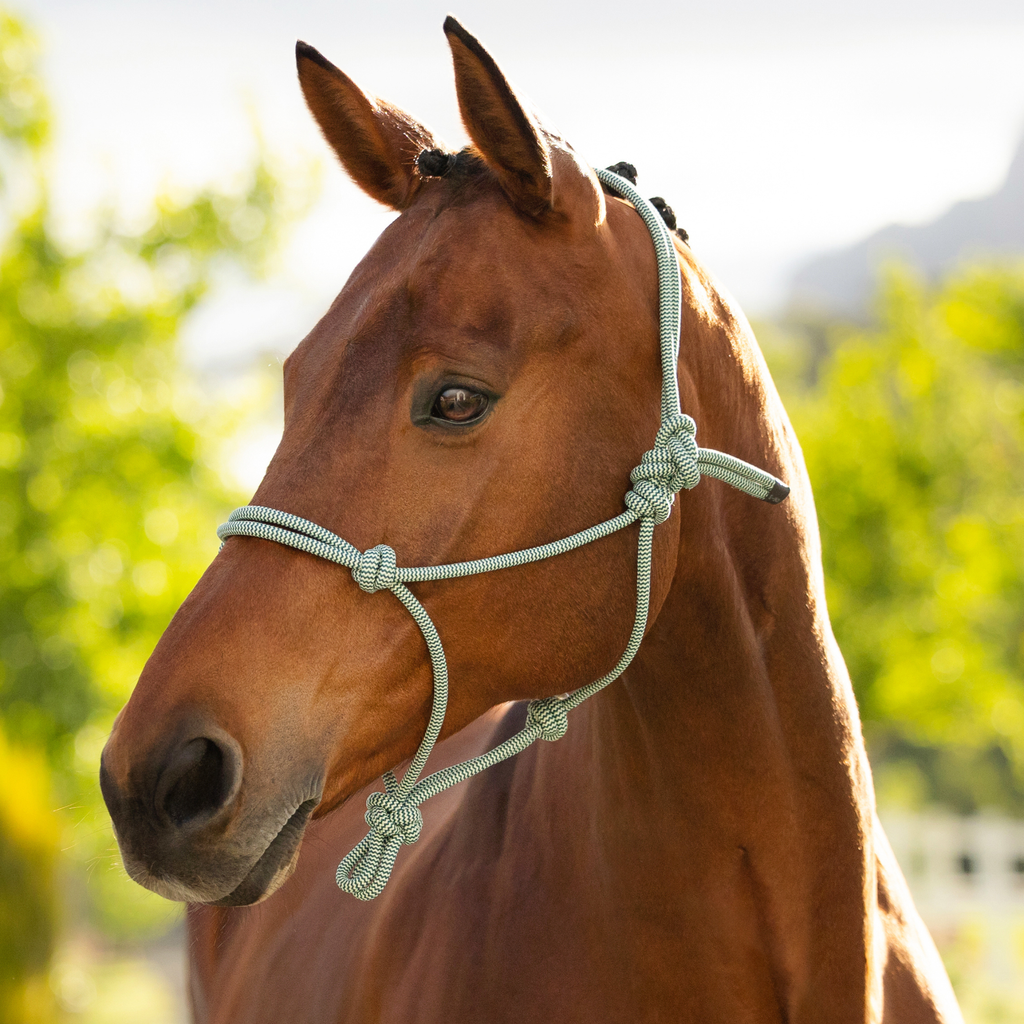 LeMieux Rope Halter - Macaron