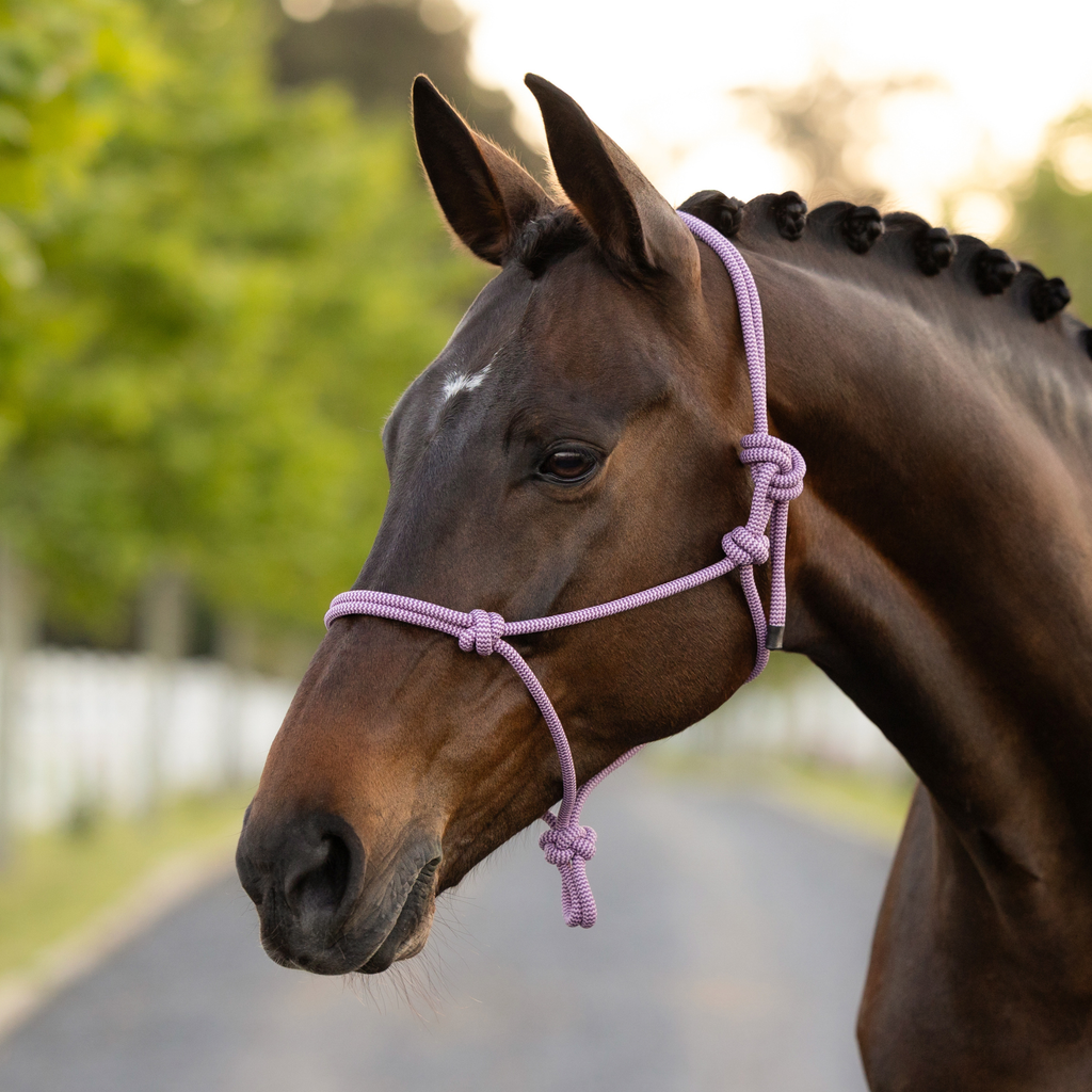 LeMieux Rope Halter - Fondant