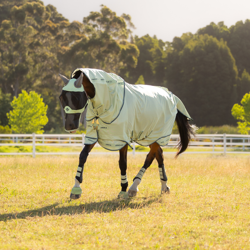 LeMieux Arika Armour-Tek Fly Rug - Macaron