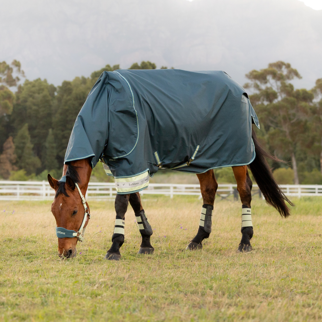 LeMieux Arika Ripstop 0g Turnout Rug - Jungle