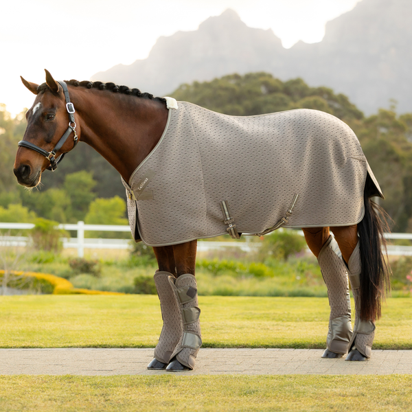 LeMieux Kudos 3D Mesh Travel Rug - Pecan