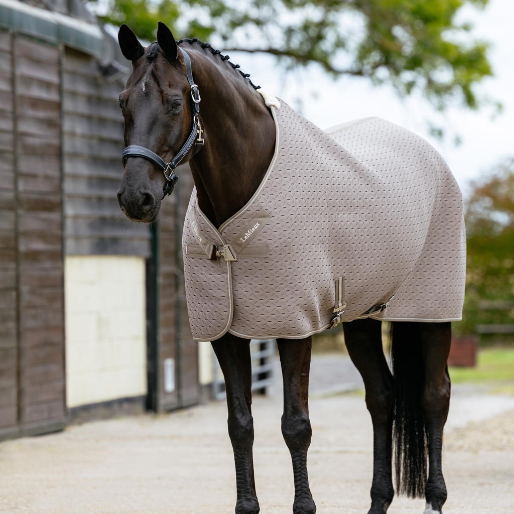 LeMieux Kudos 3D Mesh Travel Rug - Pecan