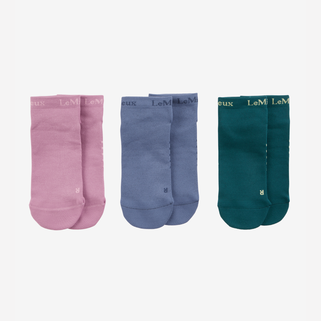 LeMieux Trainer Sock 3 Pack - Multi
