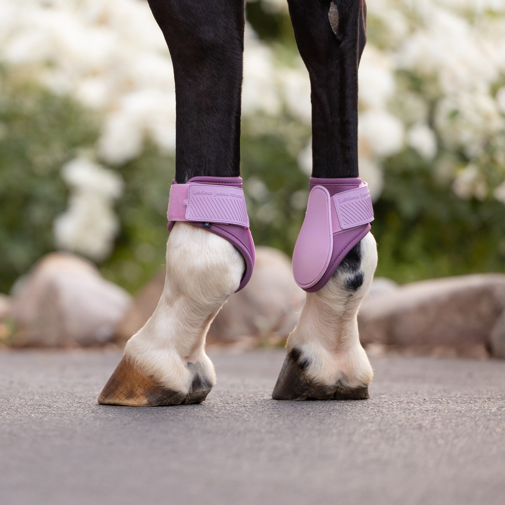 LeMieux Arika Fetlock Boots - Fondant