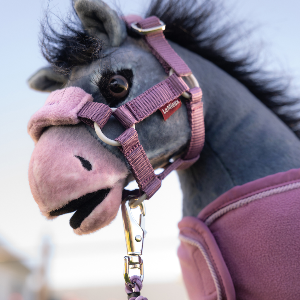 LeMieux Toy Pony Vogue Headcollar and Leadrope - Mallow