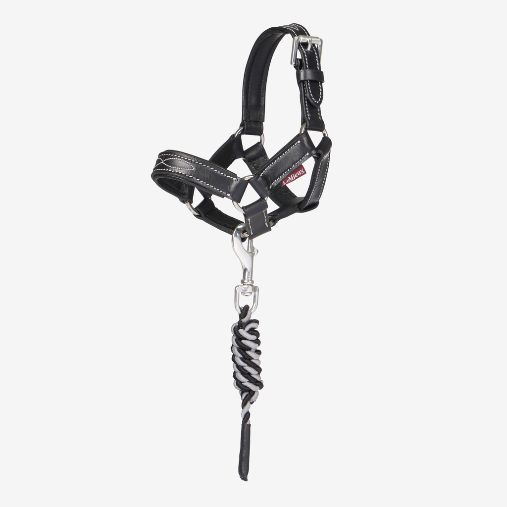 LeMieux Toy Pony Leather Headcollar and Leadrope - Black
