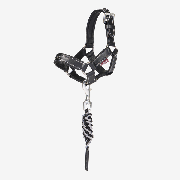LeMieux Toy Pony Leather Headcollar and Leadrope - Black