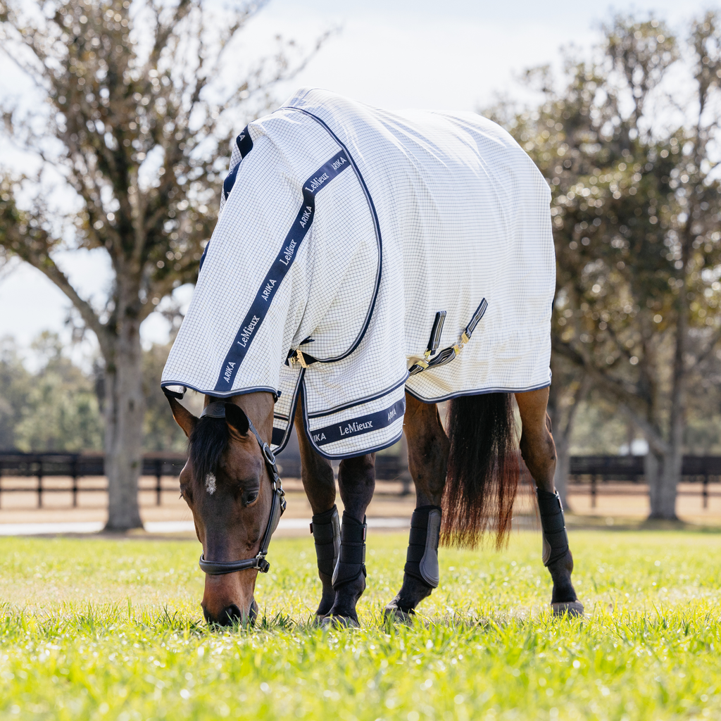 LeMieux Arika Field Rug - White