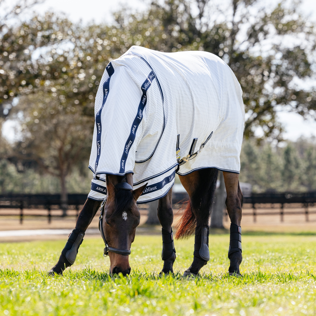LeMieux Arika Field Rug - White