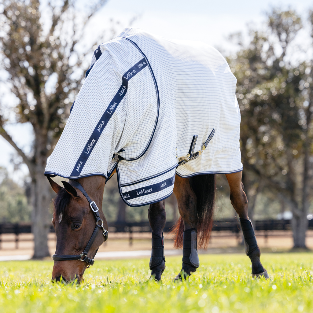 LeMieux Arika Field Rug - White
