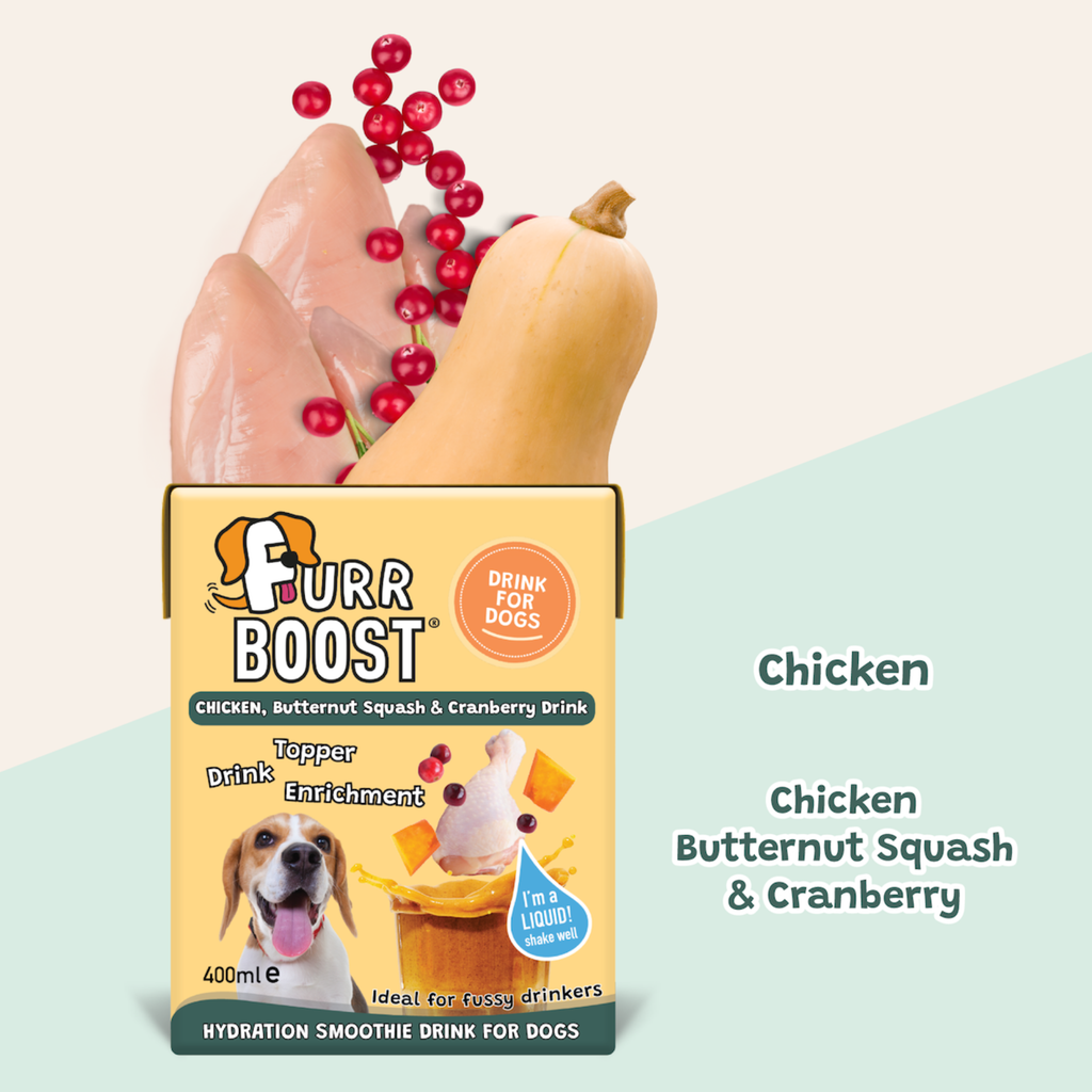 Furr Boost Chicken Butternut Squash and Cranberry Dog Drink