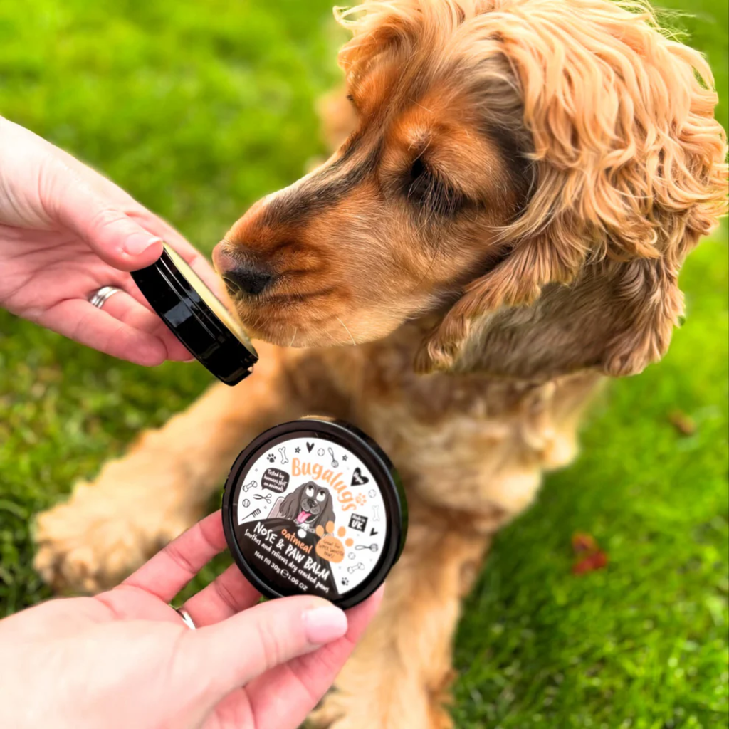 Bugalugs Paw and Nose Balm - 30g