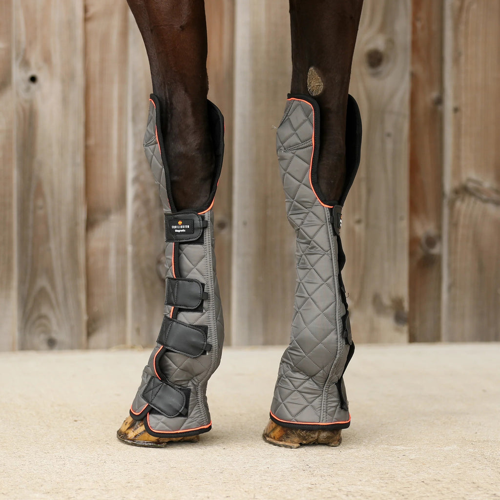 Equilibrium Fore and Knee Magnetic Chaps