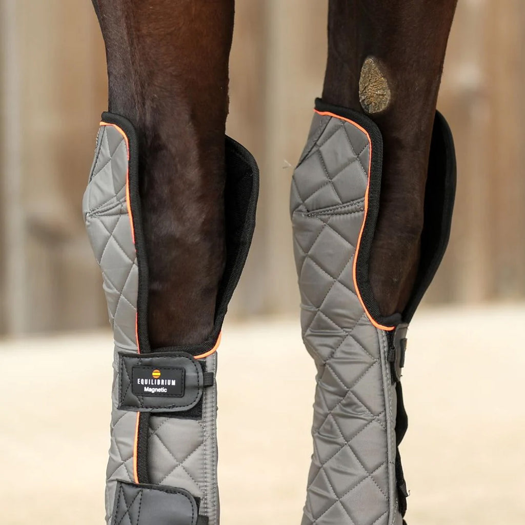Equilibrium Fore and Knee Magnetic Chaps