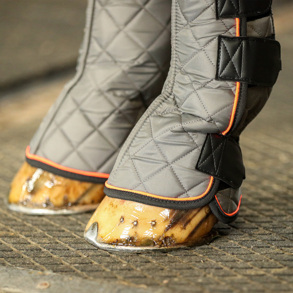 Equilibrium Fore and Knee Magnetic Chaps