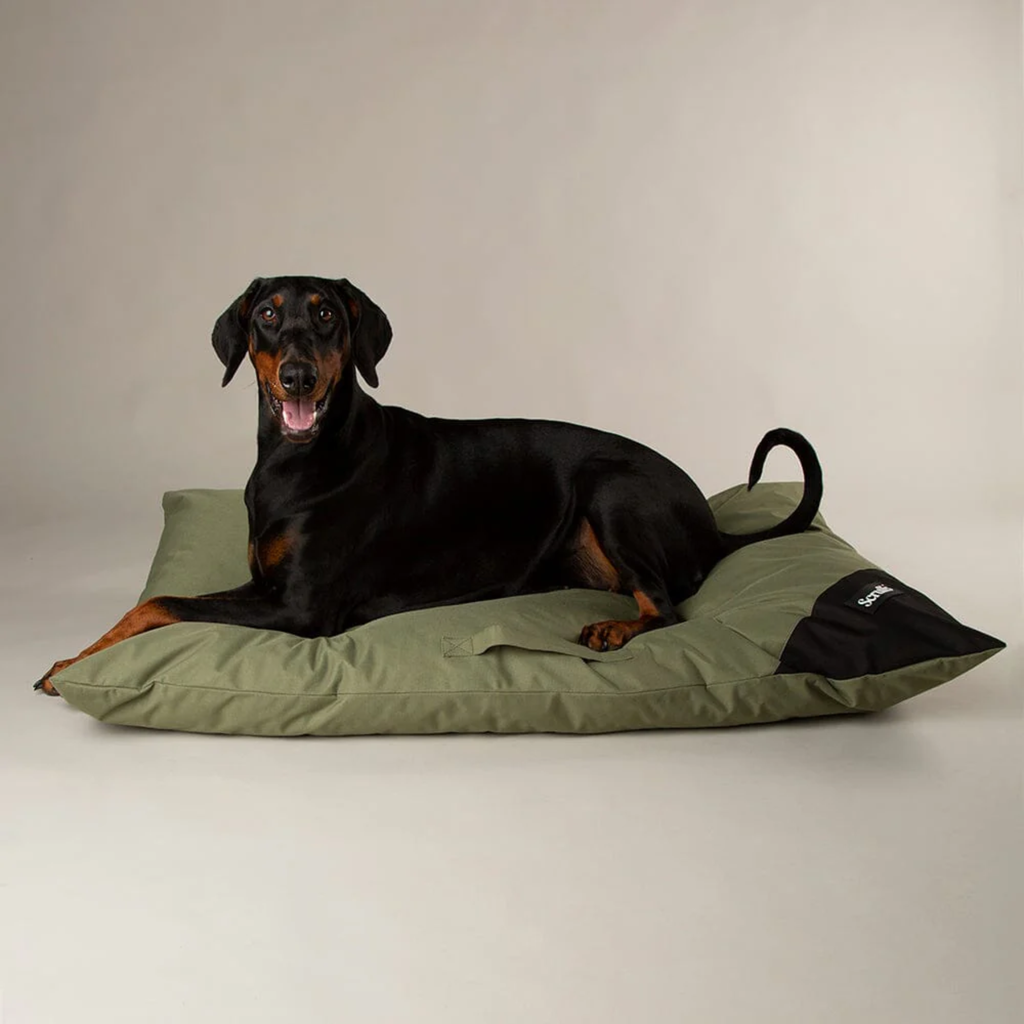 Scruffs Expedition Memory Foam Orthopaedic Pillow - Khaki Green